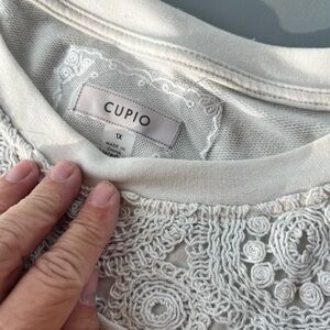 Cupio Cream Lace Accent Blouse 1x